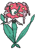 Florges Red Flower animated sprite