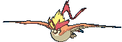 Mega Pidgeot animated sprite