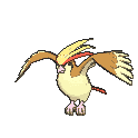 Pidgeot animated sprite