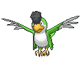 Squawkabilly animated sprite