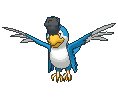 Squawkabilly-Blue animated sprite