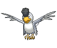 Squawkabilly-White animated sprite