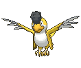 Squawkabilly-Yellow animated sprite