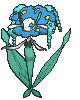 Florges-Blue