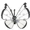 Vivillon-Icy Snow