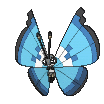 Vivillon-Marine