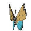 Vivillon-River