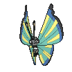 Vivillon-Savanna