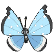 Vivillon-Tundra