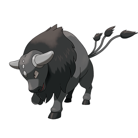 Tauros-Paldea-Combat
