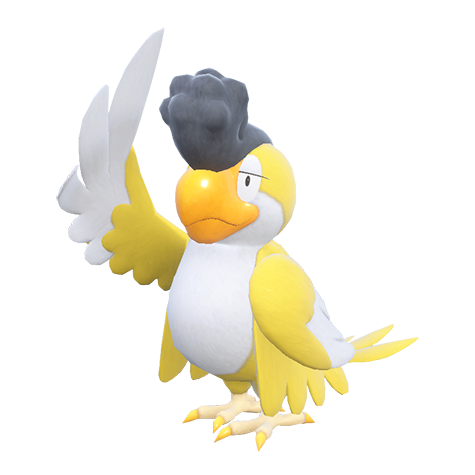 Squawkabilly-Yellow